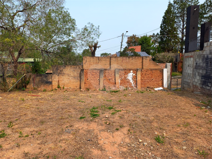 Foto REO1123686