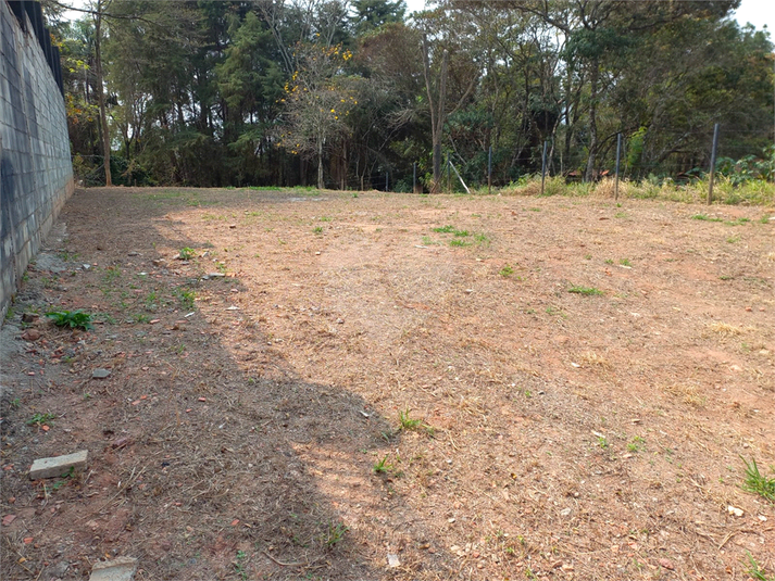 Foto REO1123686