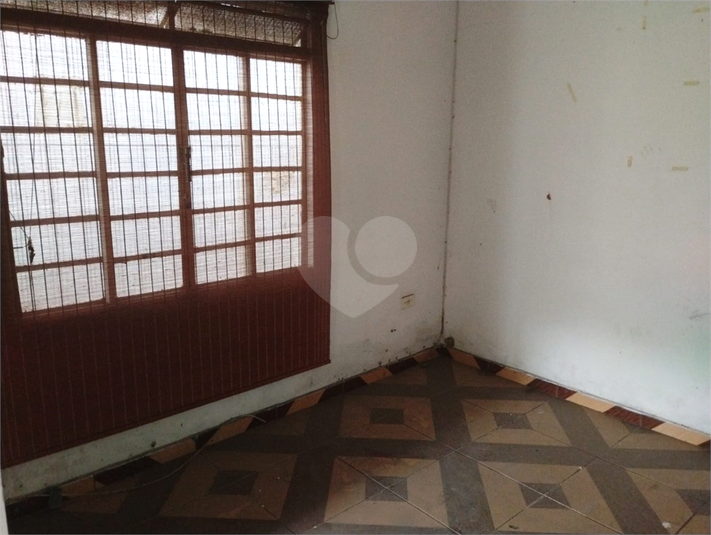 Foto REO1123692
