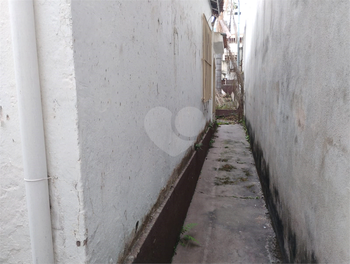 Foto REO1123692