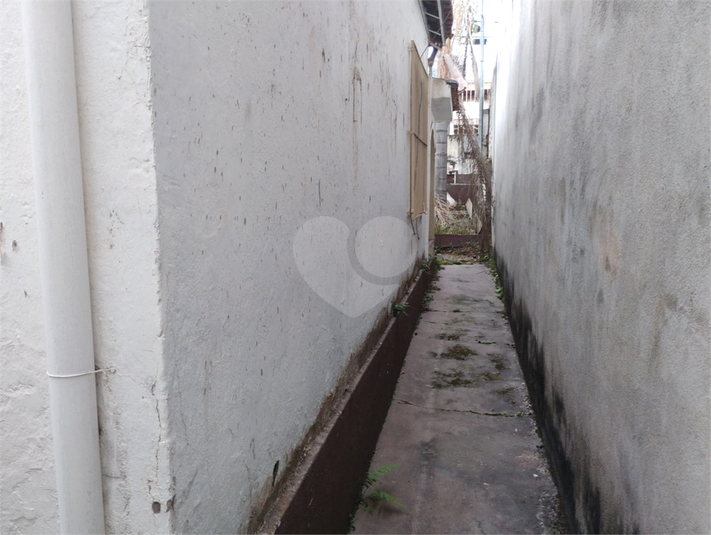 Foto REO1123692