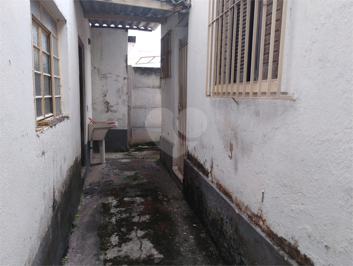Foto REO1123692