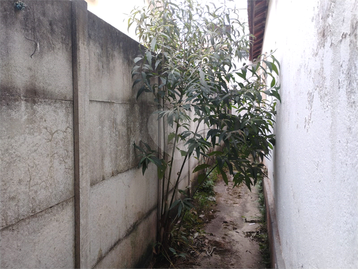 Foto REO1123692