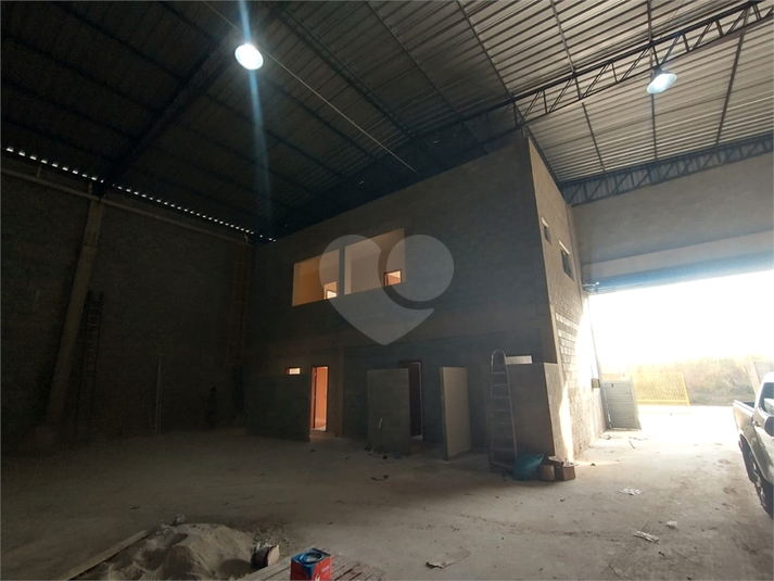 Foto REO1123697