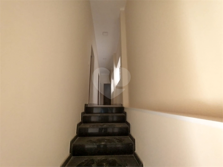 Foto REO1123697