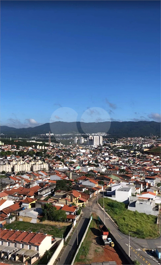 Foto REO1123719