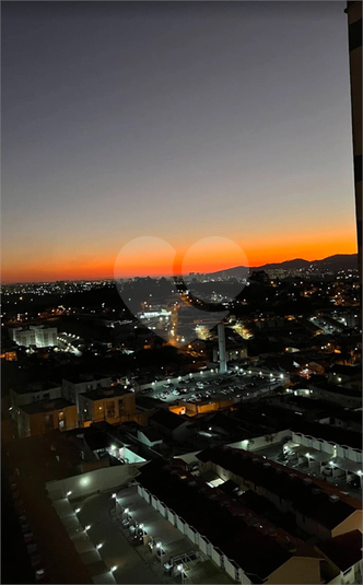 Foto REO1123719