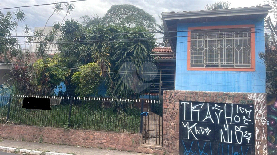 Foto REO1123726