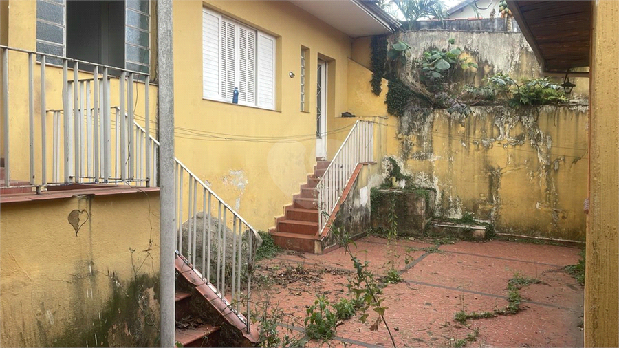 Foto REO1123726