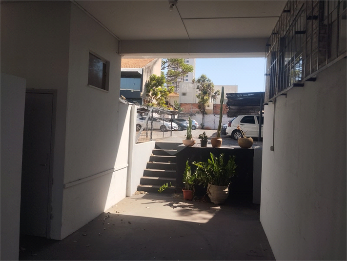 Foto REO1123734