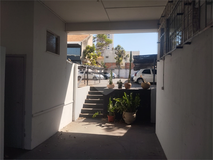 Foto REO1123734