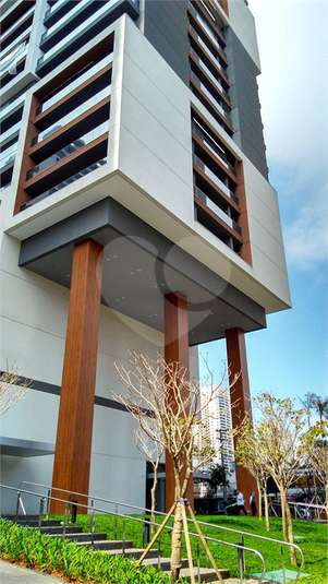 Foto REO1123739