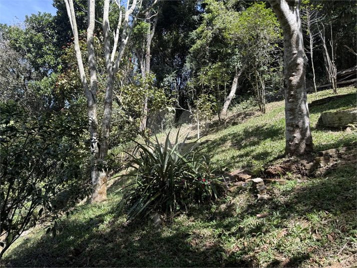 Foto REO1123752