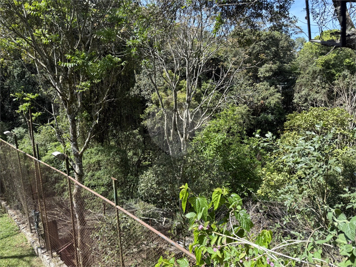 Foto REO1123752
