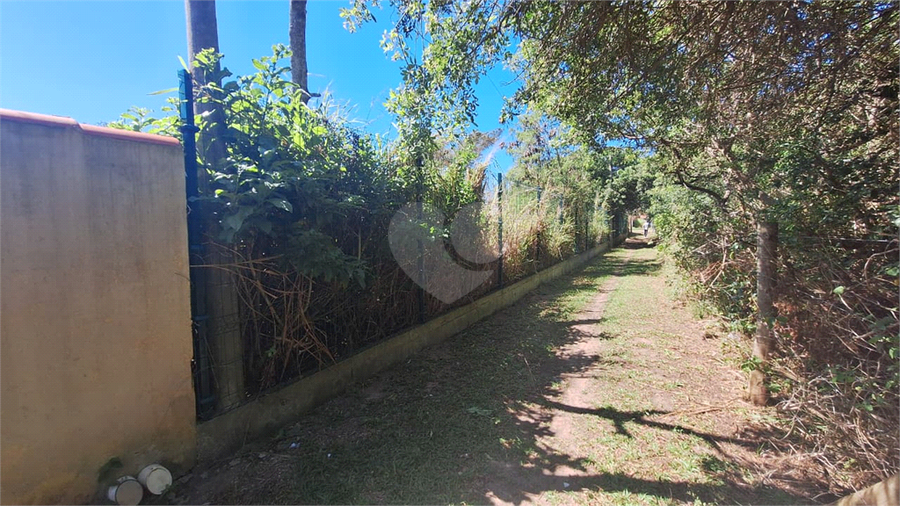 Foto REO1123761