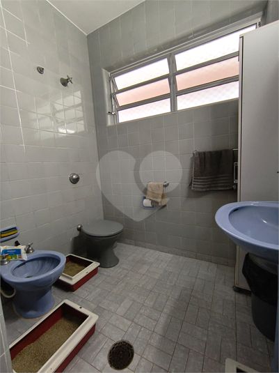 Foto REO1123764