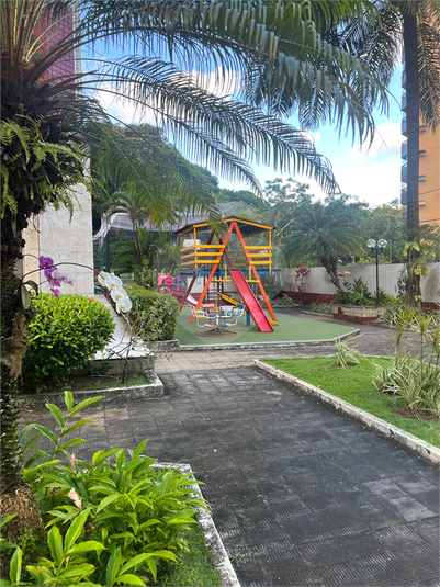 Foto REO1123769