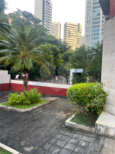 Foto REO1123769