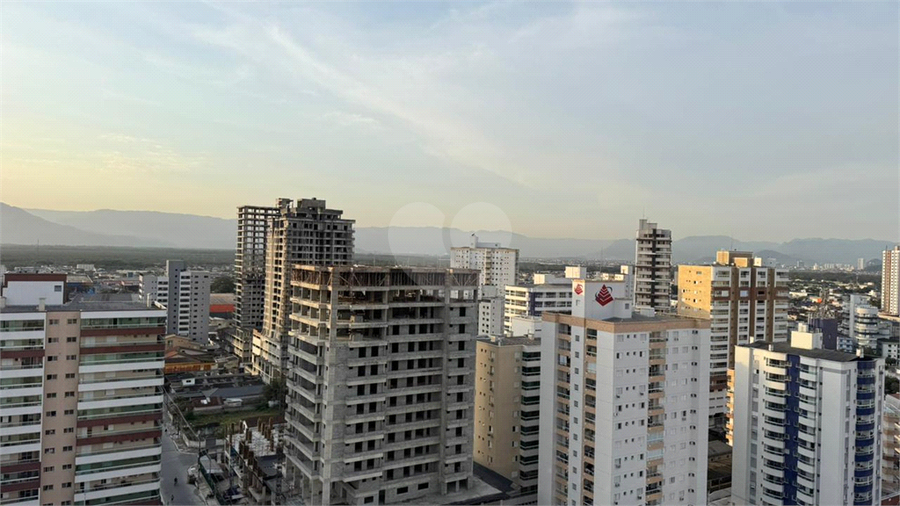 Foto REO1123772