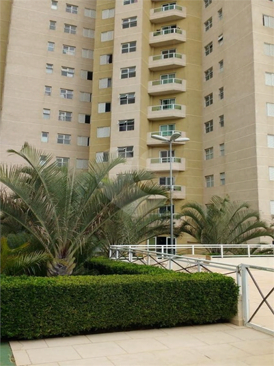 Foto REO1123775