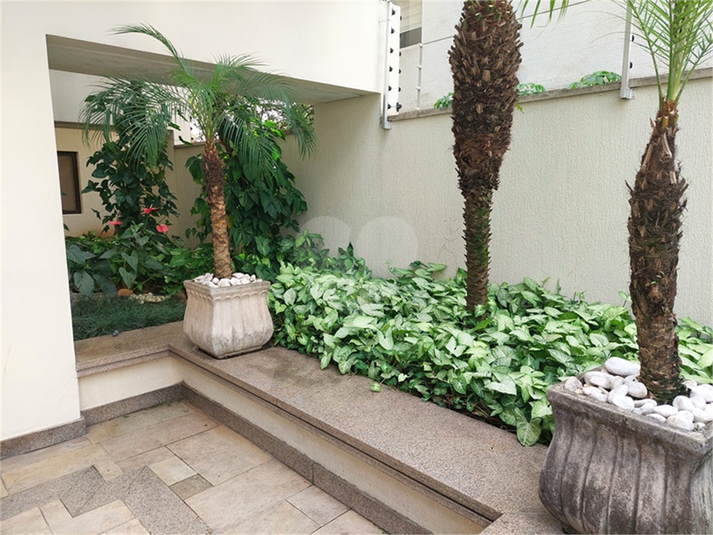 Foto REO1123781