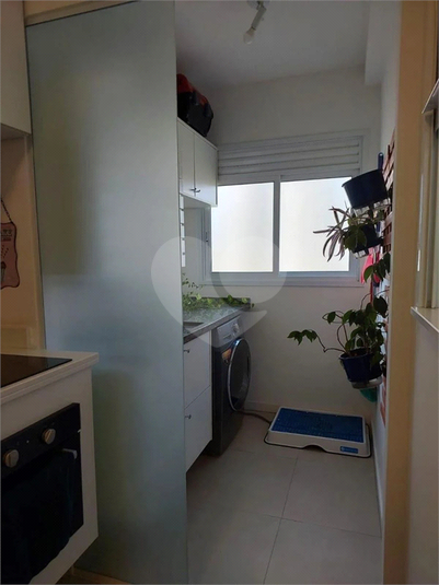 Foto REO1123783