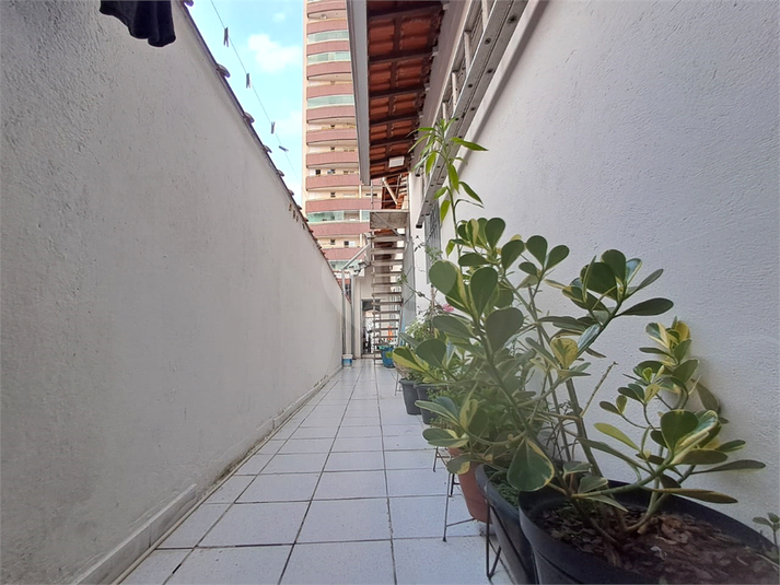 Foto REO1123784