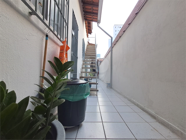 Foto REO1123784