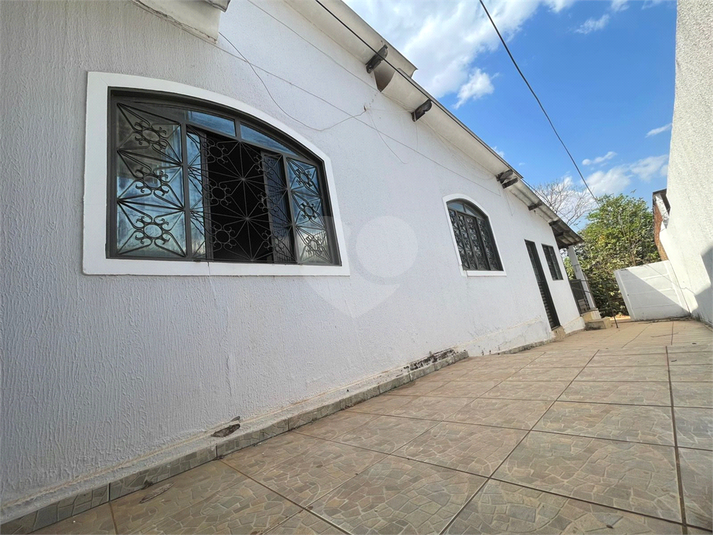 Foto REO1123801