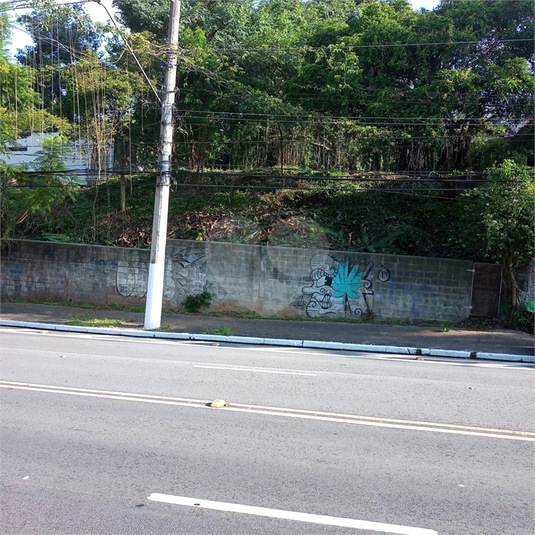 Foto REO1123825