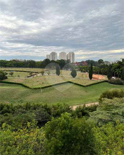 Foto REO1123836