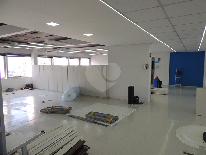 Foto REO1123850