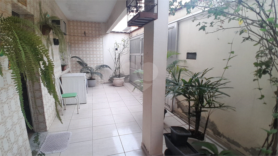 Foto REO1123868