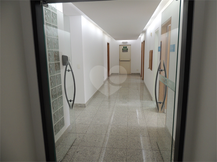 Foto REO1123872