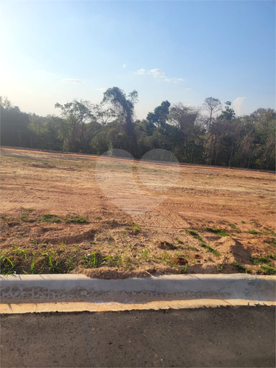 Foto REO1123873