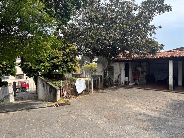 Foto REO1123894