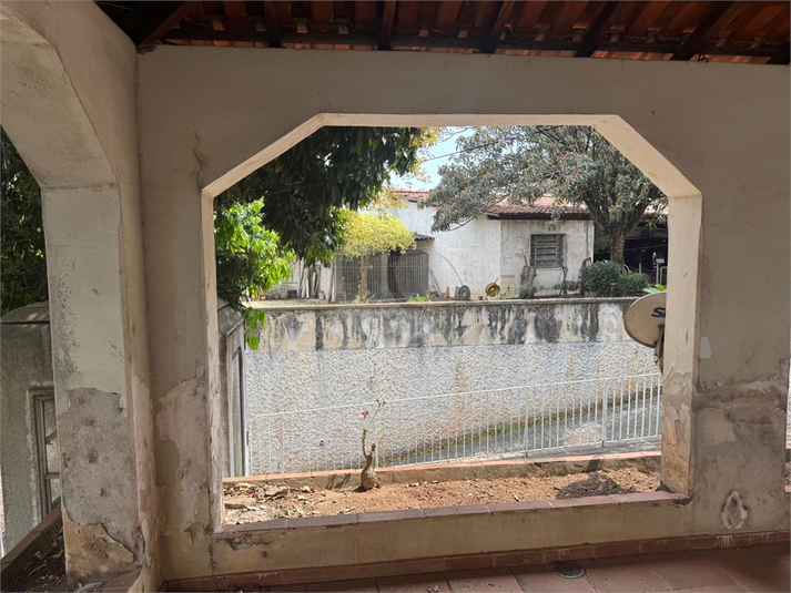 Foto REO1123894