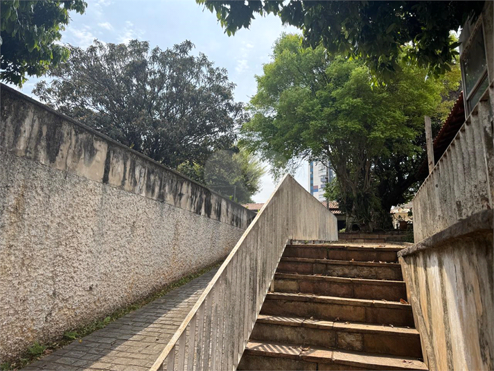Foto REO1123894