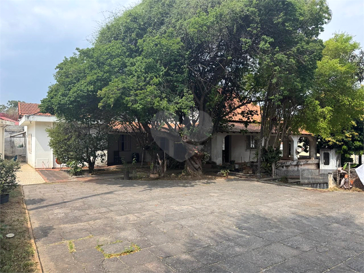 Foto REO1123894
