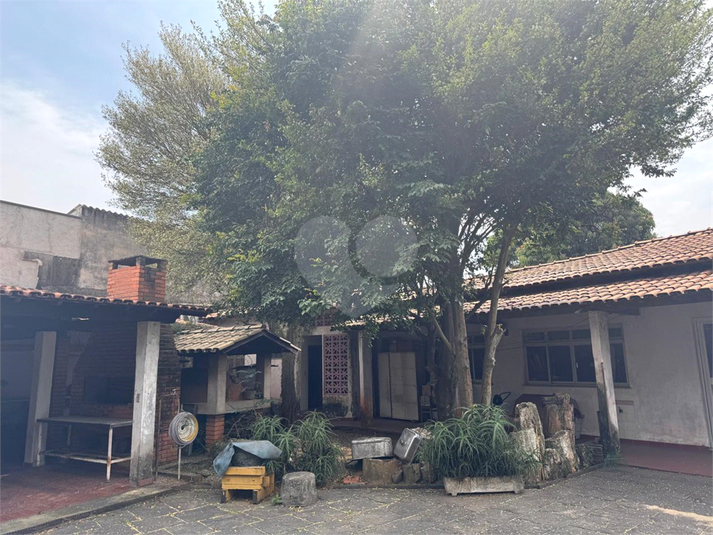 Foto REO1123894