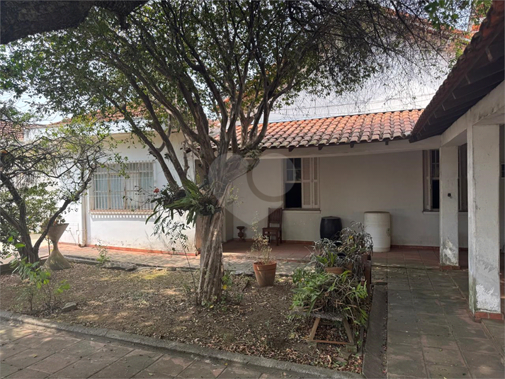Foto REO1123894