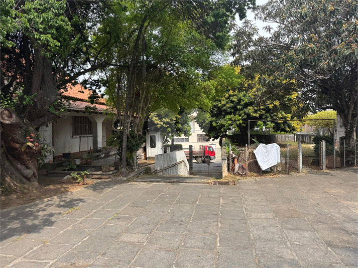 Foto REO1123894