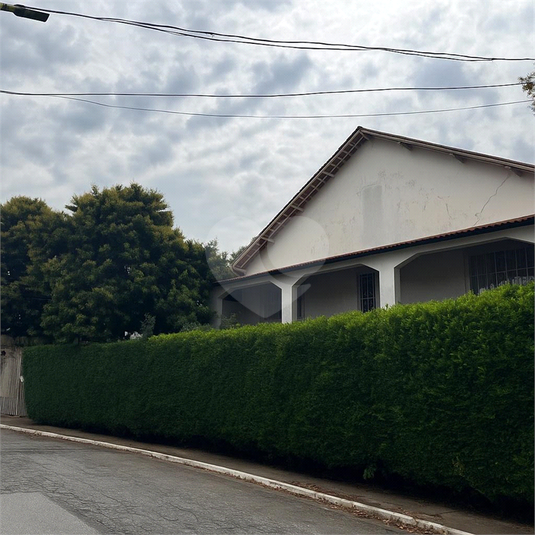 Foto REO1123894