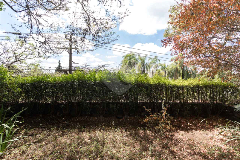 Foto REO1123899
