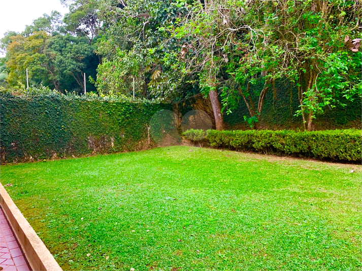 Foto REO1123920