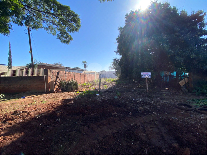 Foto REO1123932