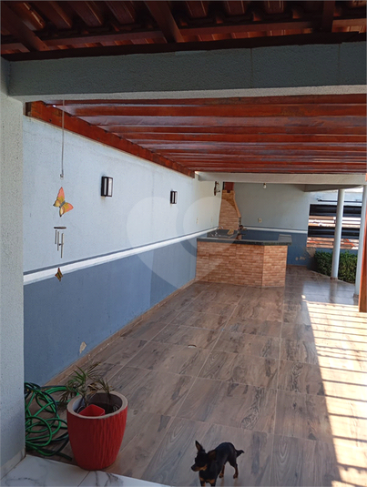 Foto REO1123933