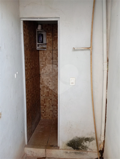 Foto REO1123933