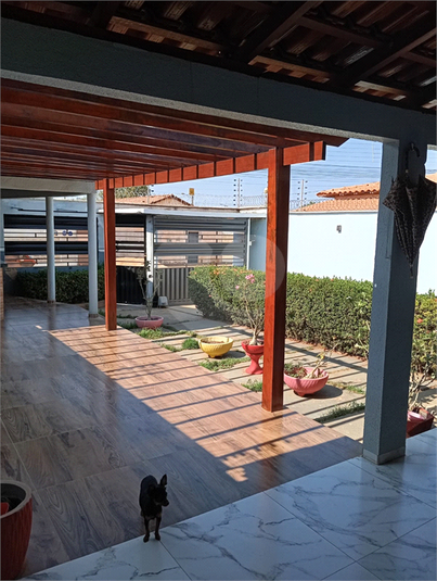 Foto REO1123933