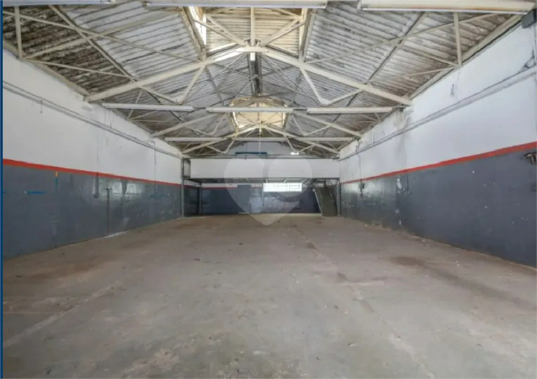 Foto REO1123937